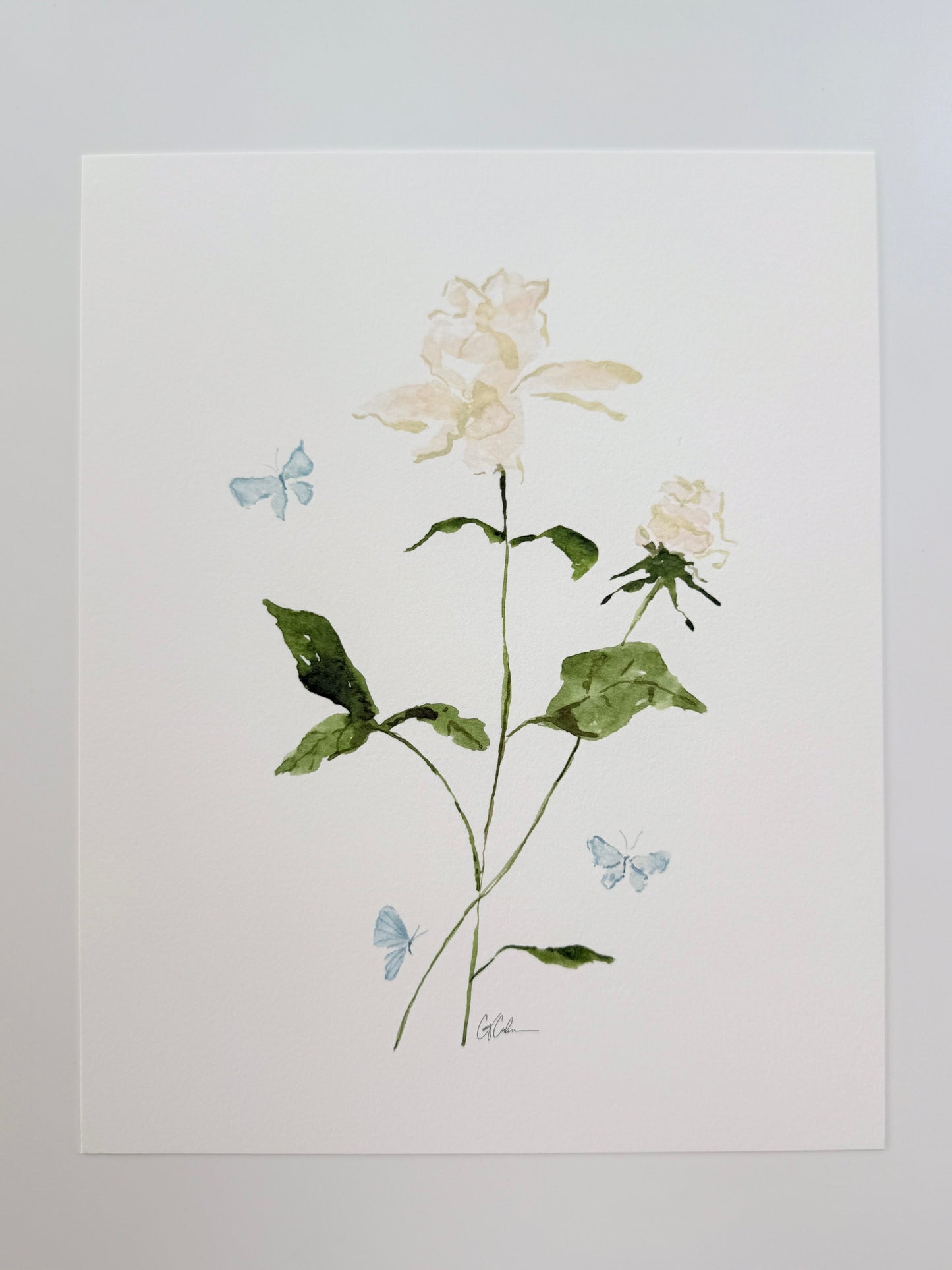 Butterfly Rose