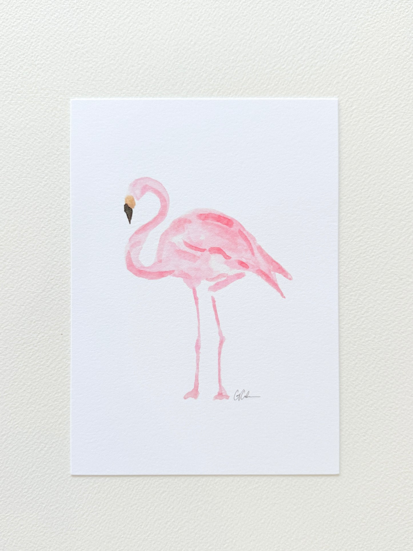 Flamingo
