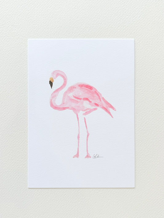 Flamingo