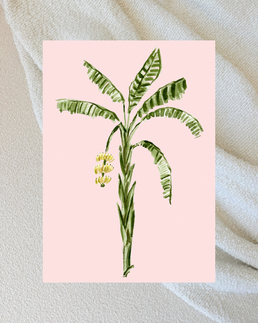 Pink Banana Tree 5x7