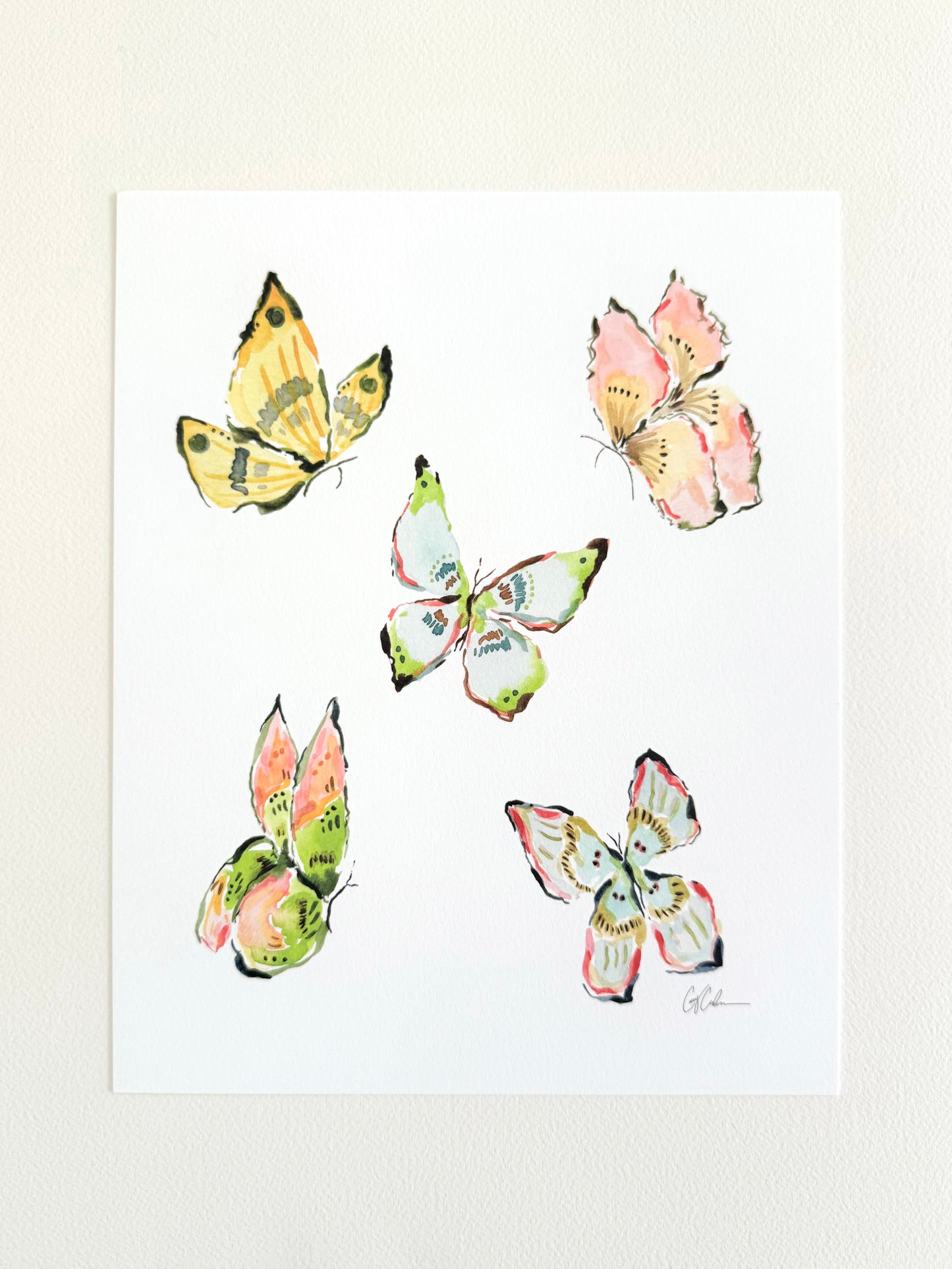 Mixed Butterflies