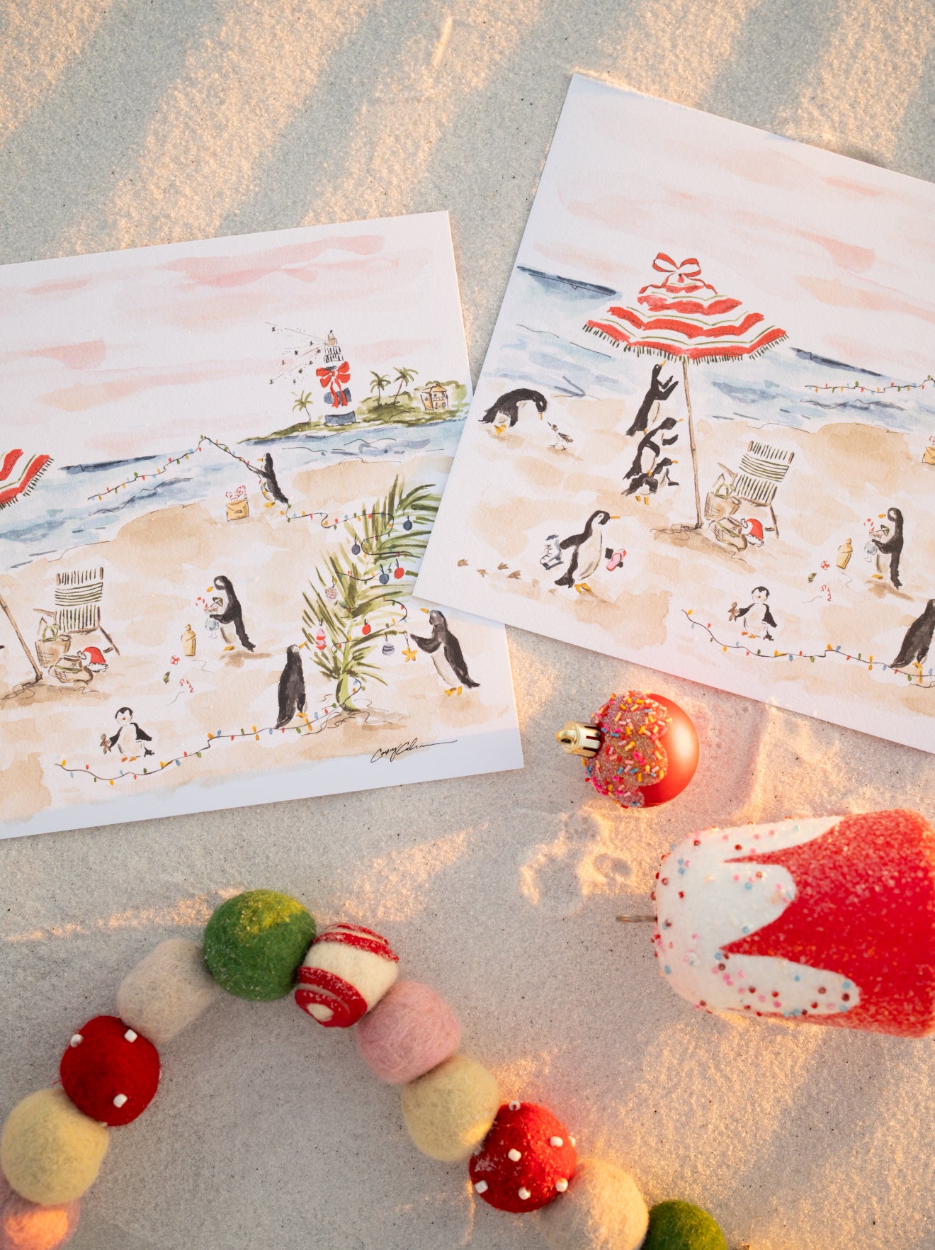 Penguin Beach