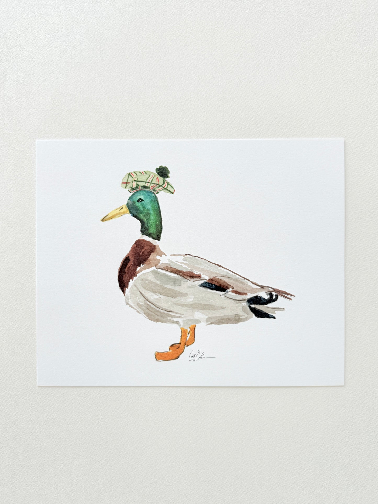 Mallard in Bonnet