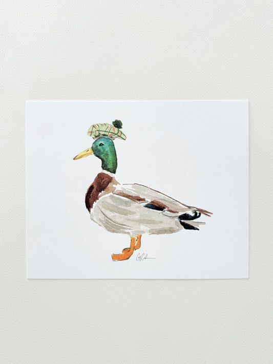 Mallard in Bonnet