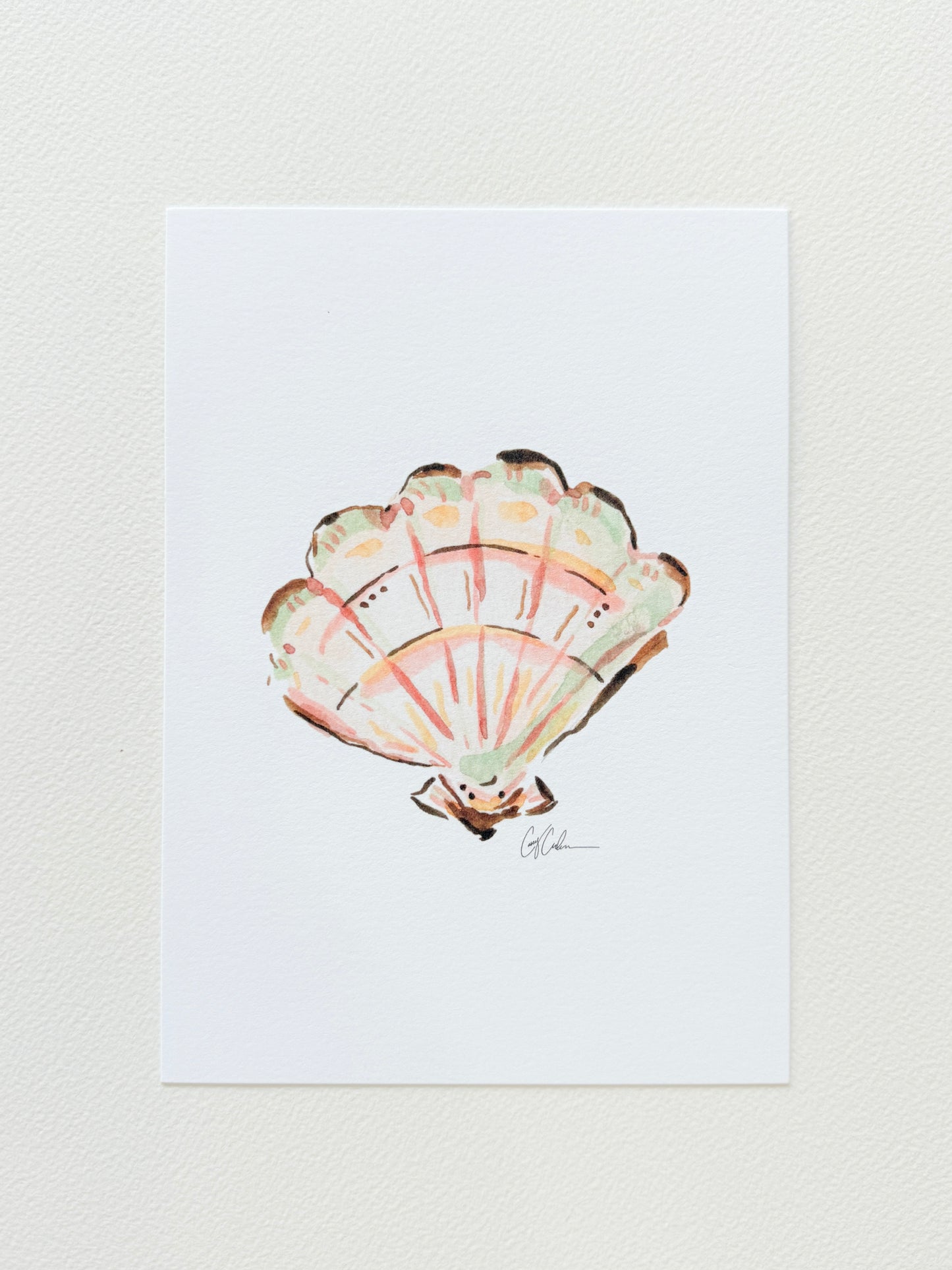 Pastel Seashell
