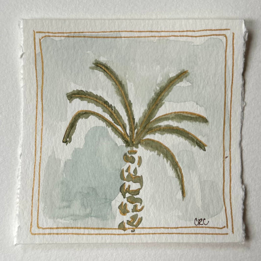 mini palm no.3