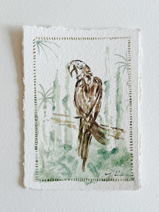 Petite Parrot 4x5.5
