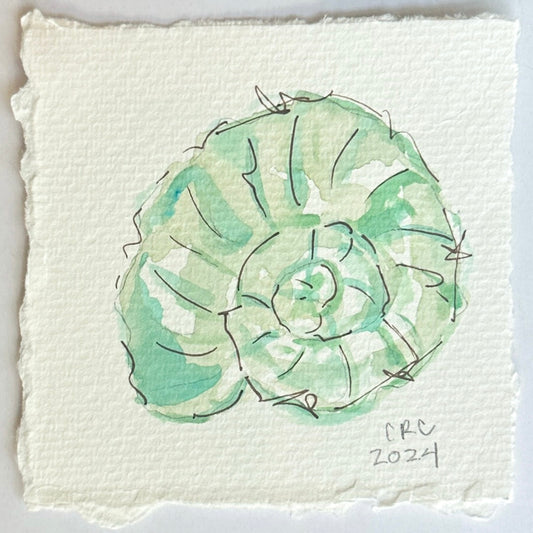 mini turquoise shell